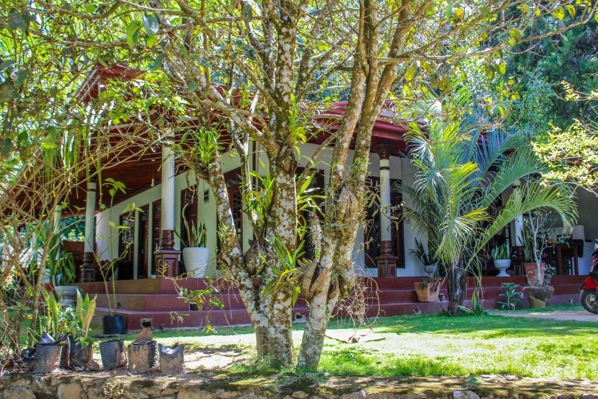 Lavender Homestay إيلا المظهر الخارجي الصورة